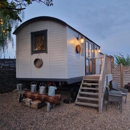 The Cosy Hut Vila Faversham Exterior foto