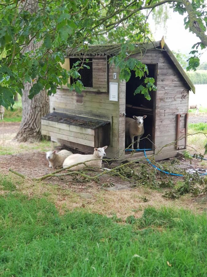 The Cosy Hut Vila Faversham Exterior foto