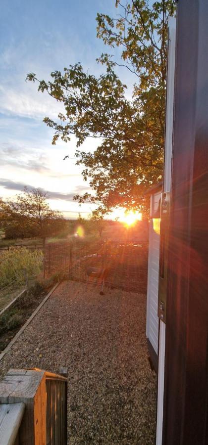 The Cosy Hut Vila Faversham Exterior foto